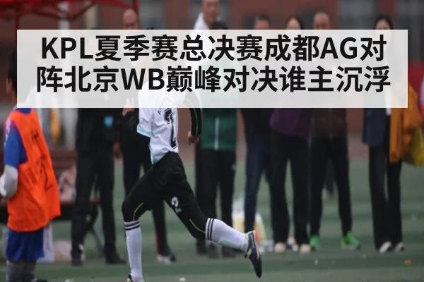 KPL夏季赛总决赛成都AG对阵北京WB巅峰对决谁主沉浮