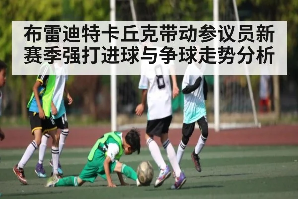 布雷迪特卡丘克带动参议员新赛季强打进球与争球走势分析